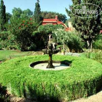 Dar Mimosas