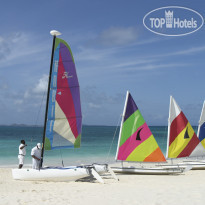 Cuisinart Resort & Spa