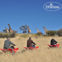 Zebra Kalahari Lodge