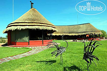 New photos from tourists Okonjima Main Camp & Bush Camp 3*