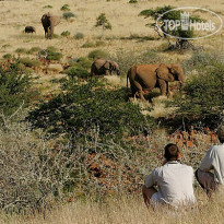 Damaraland Camp 