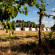 Photos Kalahari Farmhouse