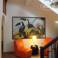 Acacia Boutique Hotel
