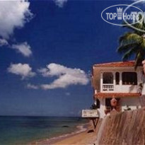 Horned Dorset Primavera 