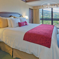 Hilton San Salvador