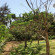 Balafon Beach Resort 