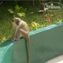 Holiday Beach Club Hotel 