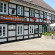 Brauner Hirsch 