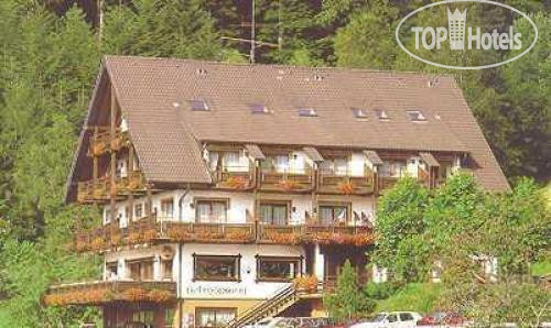 Hotel photo Minotel Waldhotel Palmspring 3*