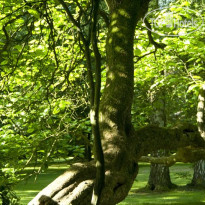 Park Schloss Hohenfeld
