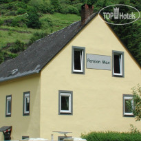 Max Pension
