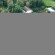 Top Hotel am Bruchsee 