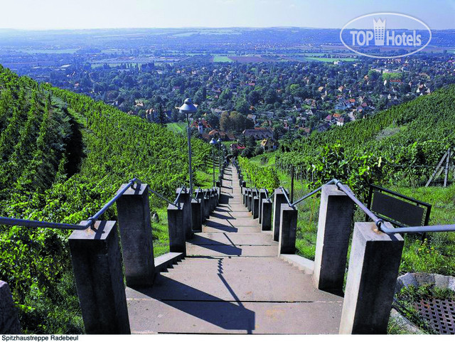 New photos from tourists AKZENT Hotel Andree 3*