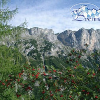 Brennerbascht 