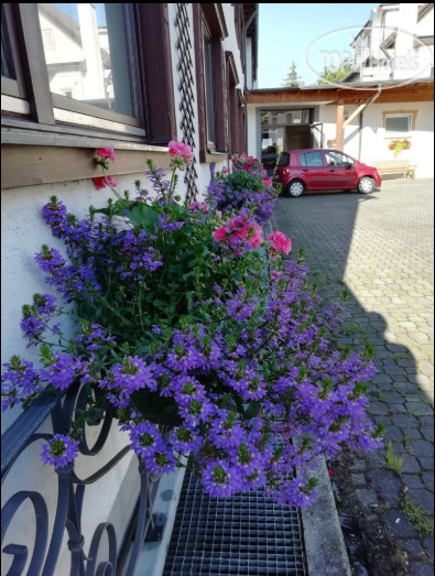 New photos from tourists Hotel Gasthof Stern