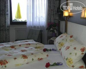New photos from tourists Hotel am Hopfensee 3*