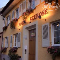 Hotel Seerose 