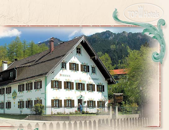 Hotel photo Pension Enzianhof 