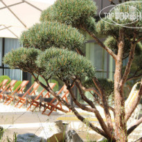 Ramada Nuernberg Parkhotel 