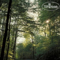 Ringhotel Birke