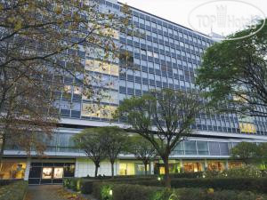 New photos from tourists Steigenberger Hotel 4*