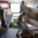Jugendherberge Koln-Riehl City-Hostel 