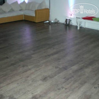 Artist Monte Christo 