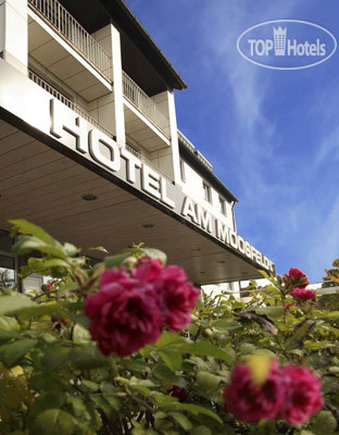 New photos from tourists Am Moosfeld 4*