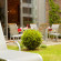 Arcona Living Goethe87 