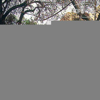 andBeyond Mnemba Island 