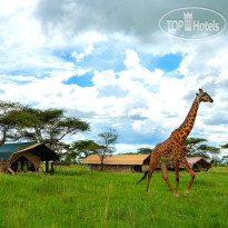 Serengeti Sametu Camp 