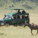 Serengeti Serena Lodge