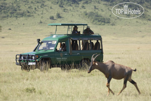 Serengeti Serena Lodge