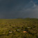 Lions Paw Camp 