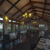 Lions Paw Camp 