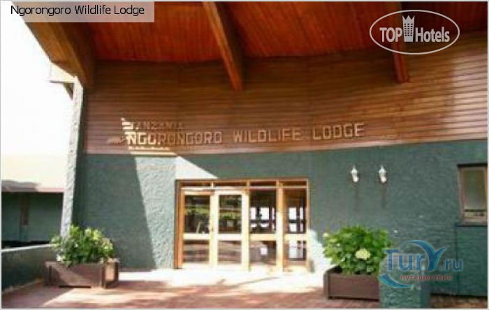 Hotel photo Ngorongoro Wildlife Lodge 4*