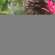 Keys Hotels Limited Uru Road 