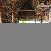Baby Bush Lodge