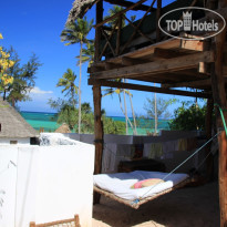 Baby Bush Lodge
