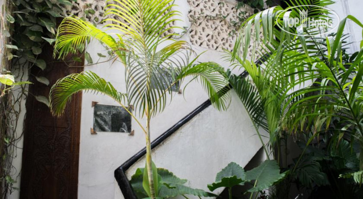 New photos from tourists Malindi Guest House
