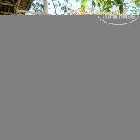Demani Lodge Zanzibar