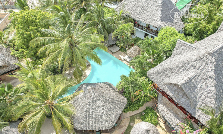 Hotel photo Maisha Nungwi 