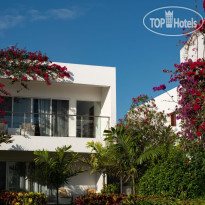 Nungwi Dreams by Mantis 