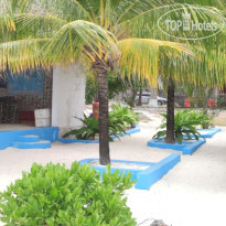 Oasis Inn Beach Bungalow 