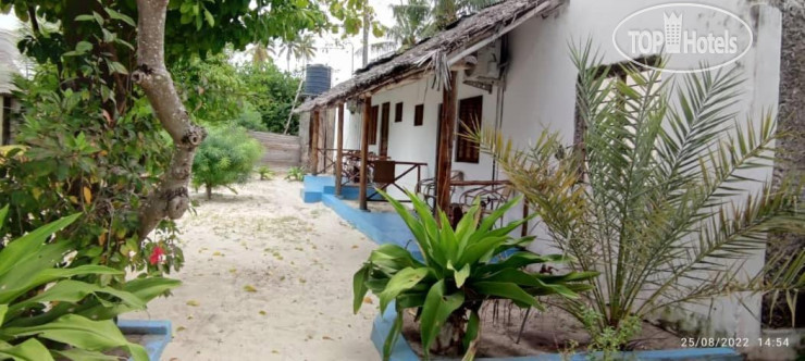 Hotel photo Oasis Inn Beach Bungalow 
