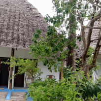 Oasis Inn Beach Bungalow 