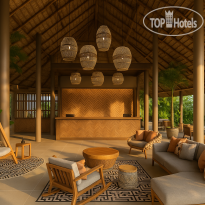 Jaz Elite Aurora Reception