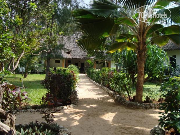 Hotel photo Pongwe Beach 3*