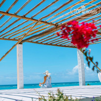 Pearl Beach by Sansi