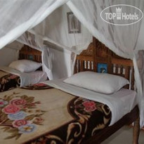 Pearl Beach by Sansi